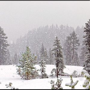 Meet your Posher, Alexa